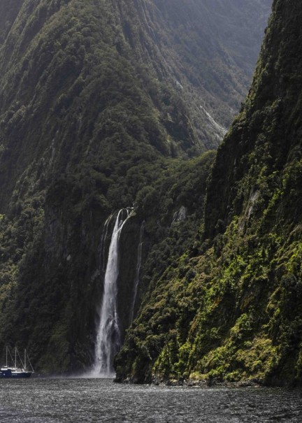 Boat Cruises in Fiordland - Visit Fiordland